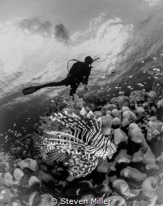 The B&W challenge by Steven Miller 